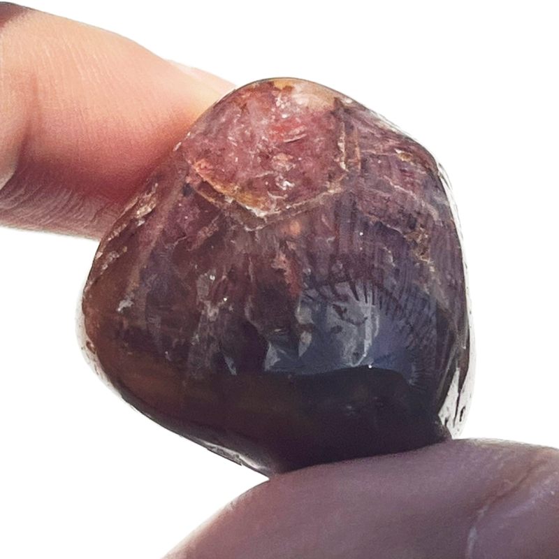 ドリームコート・レムリアン・タンブル6