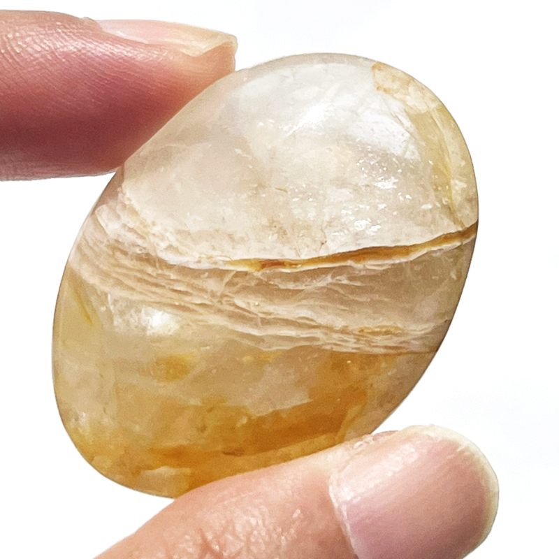 ゴールデンヒーラー・平型ポリッシュ9