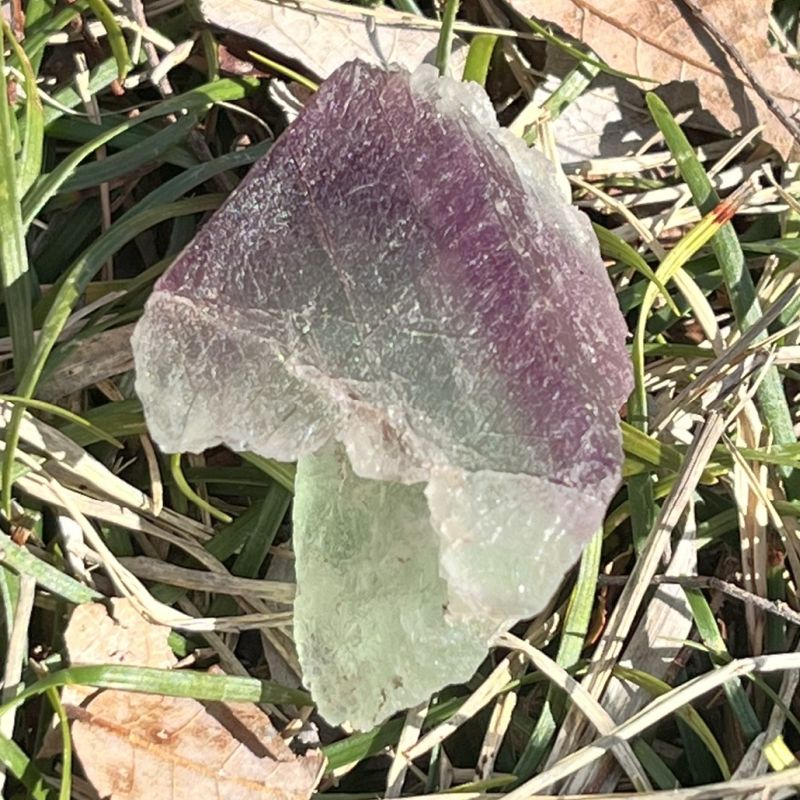 バイカラーフローライト（ニューメキシコ）(ハイクオリティ）1