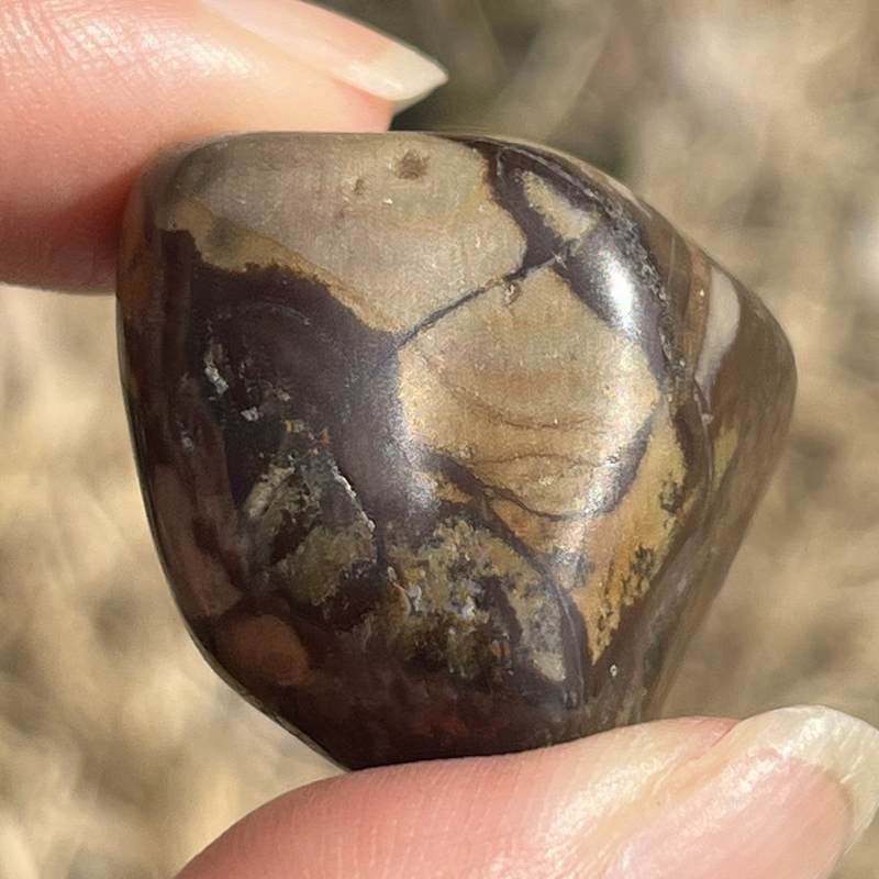 ングニ ジャスパー・タンブル2