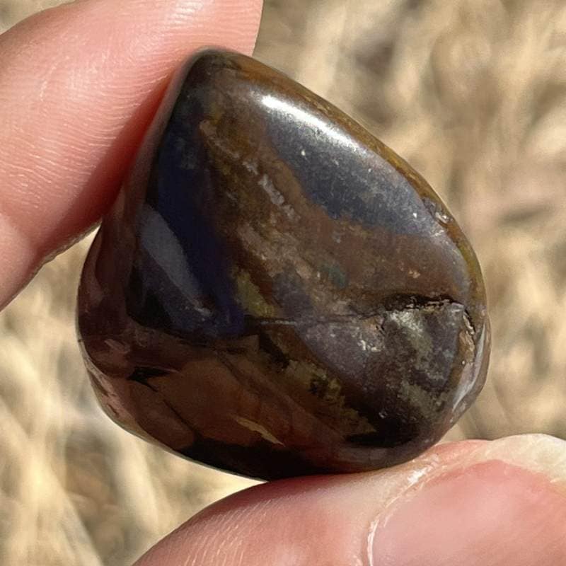 ングニ ジャスパー・タンブル2