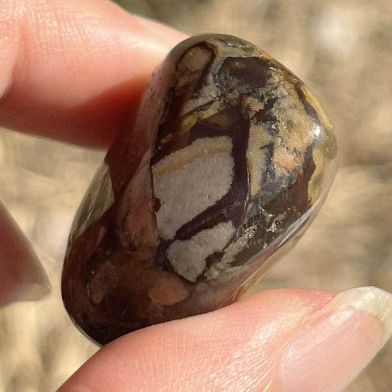 ングニ ジャスパー・タンブル2