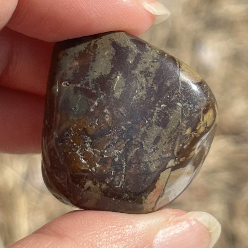 ングニ ジャスパー・タンブル2