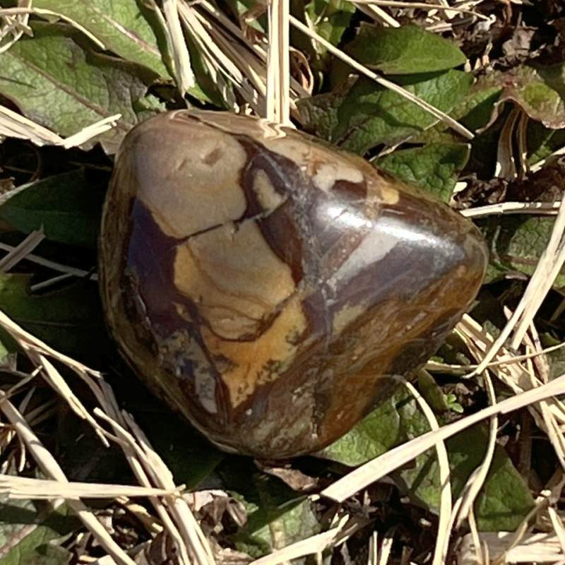 ングニ ジャスパー・タンブル2