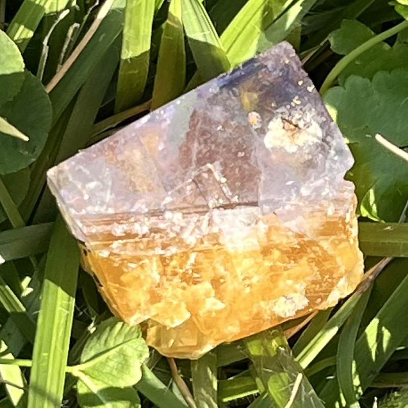 フランス産バイカラー・フローライト3