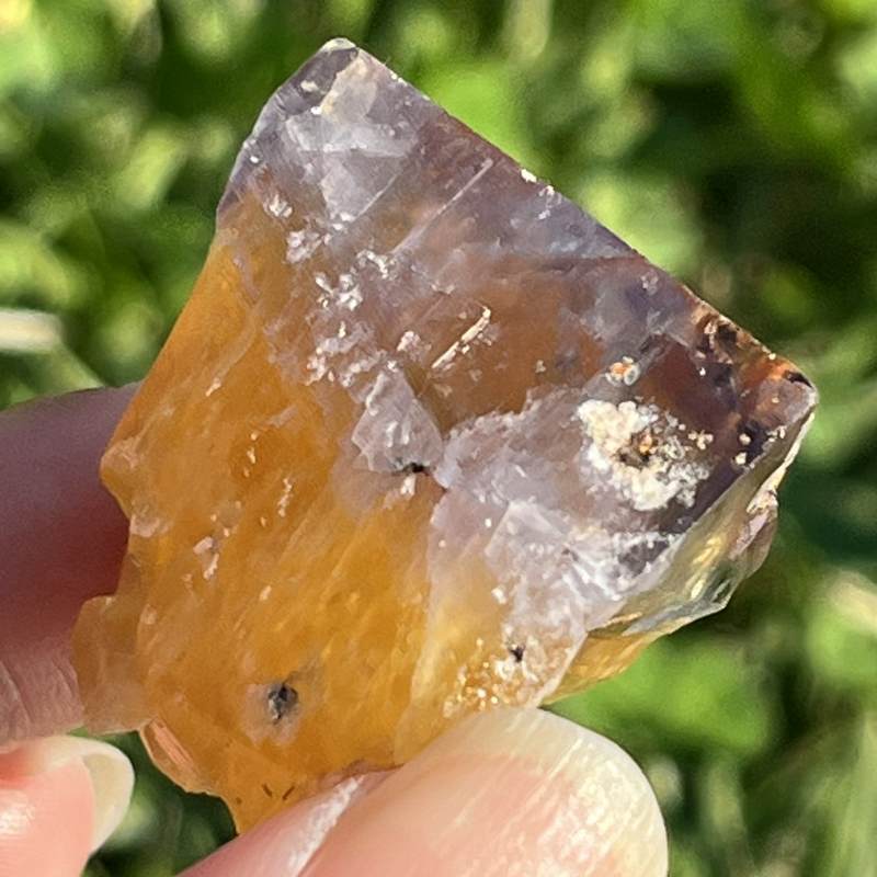 フランス産バイカラー・フローライト3