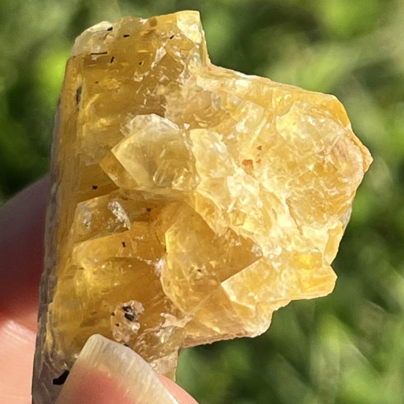 フランス産バイカラー・フローライト3