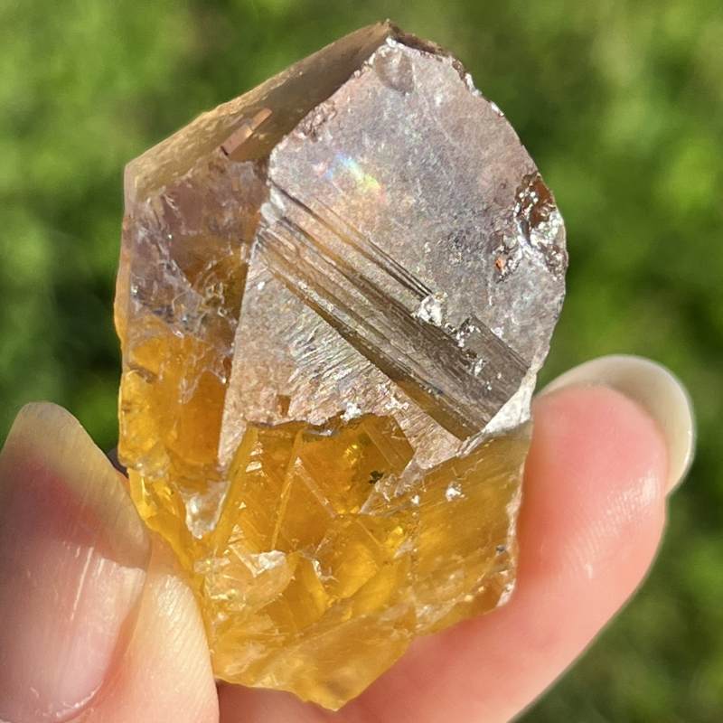 フランス産バイカラー・フローライト4（レインボウ）