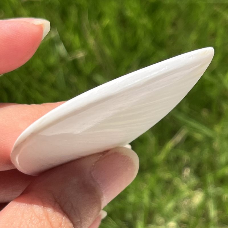 スコレサイト・ポリッシュ1