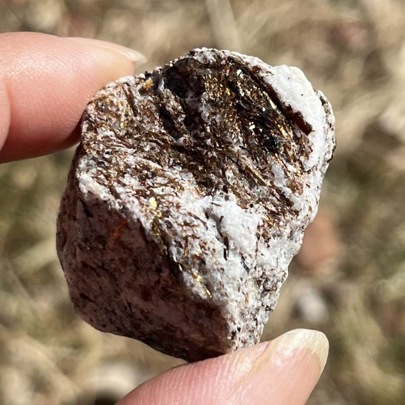 アストロフィライト・原石4