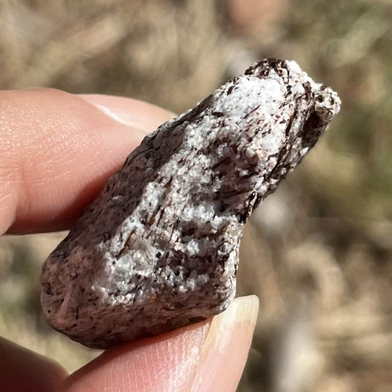 アストロフィライト・原石4