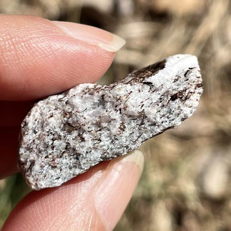 アストロフィライト・原石4