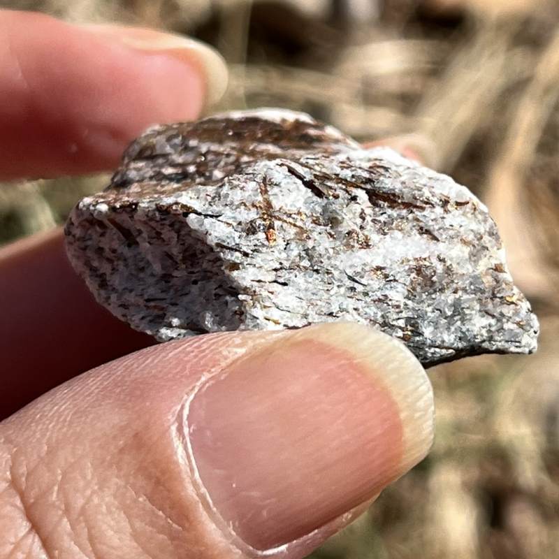 アストロフィライト・原石4