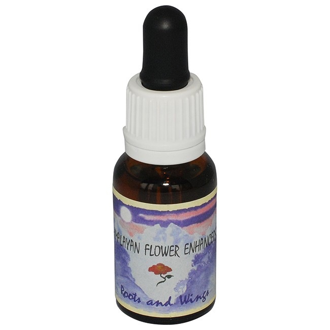 ルーツアンドウィングス[Roots and Wings]