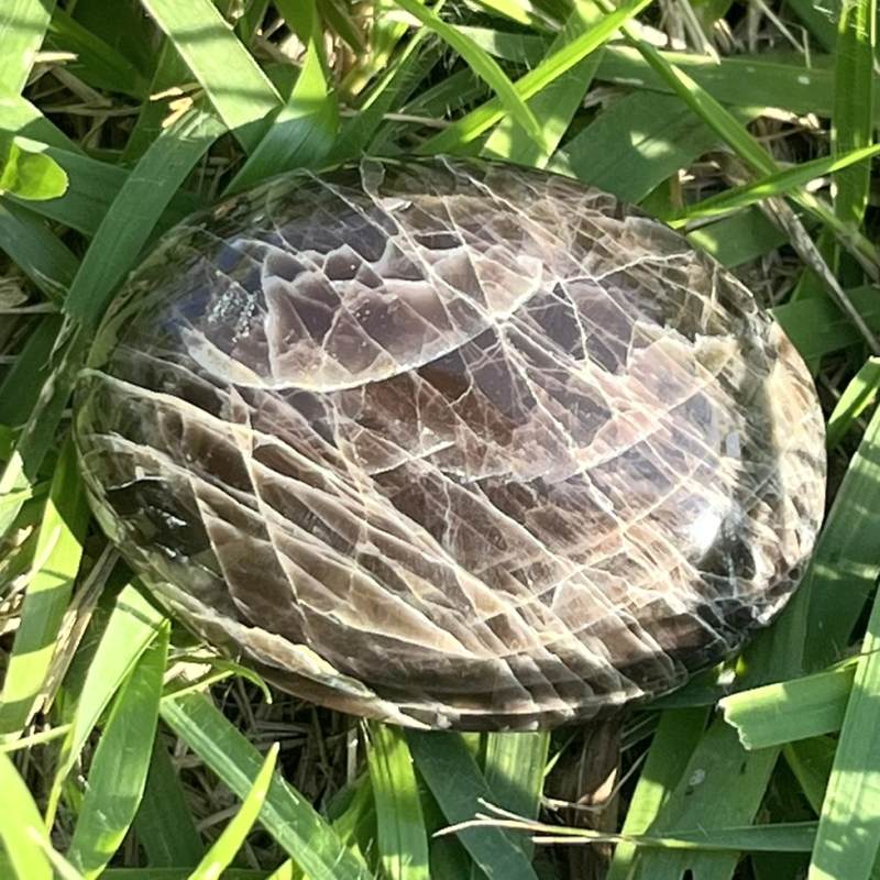 ブラックムーンストーン・大きめ円形ポリッシュ1