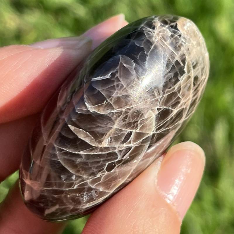 ブラックムーンストーン・大きめ円形ポリッシュ1