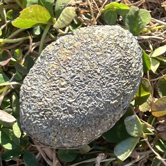 レインボーボージャイ（ボージー）ストーン4