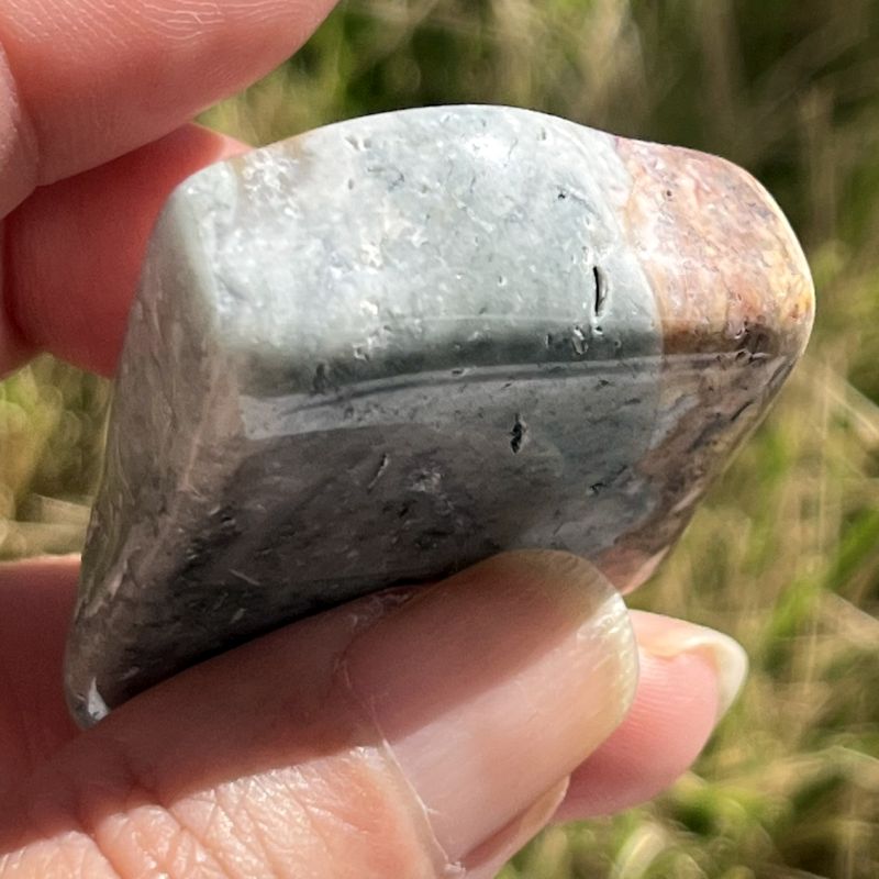 ブッケンハウトジャスパー・タンブル3