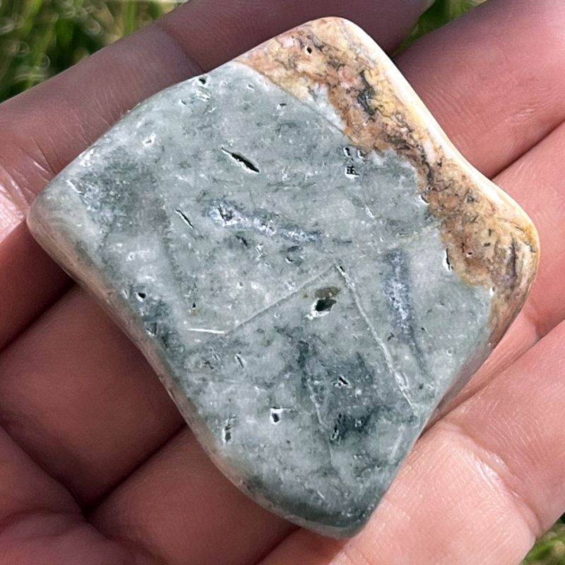 ブッケンハウトジャスパー・タンブル3