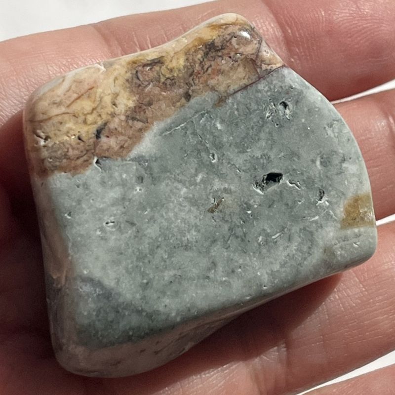 ブッケンハウトジャスパー・タンブル3