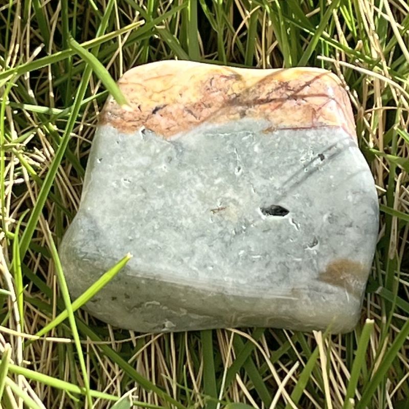 ブッケンハウトジャスパー・タンブル3