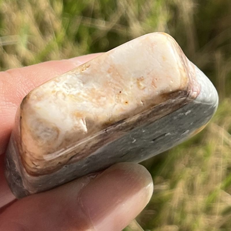 ブッケンハウトジャスパー・タンブル3