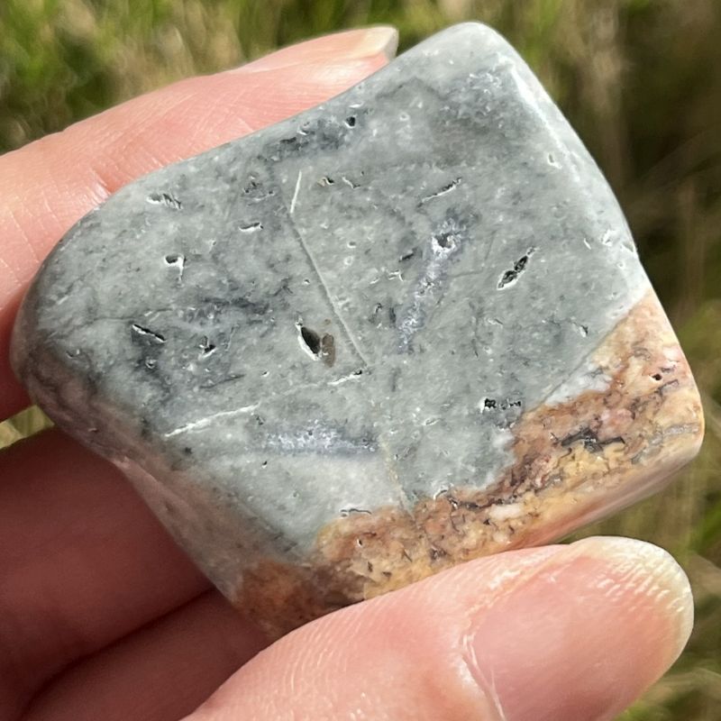 ブッケンハウトジャスパー・タンブル3