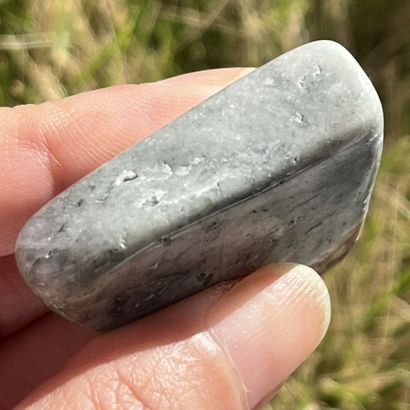 ブッケンハウトジャスパー・タンブル3