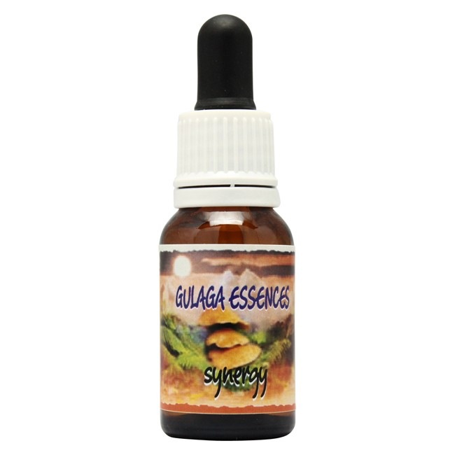 シナジー[Synergy]