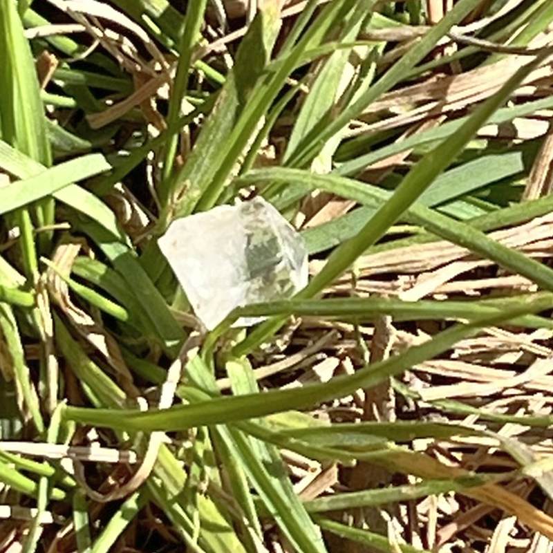 ビルマ産フェナカイト（超レア！）2