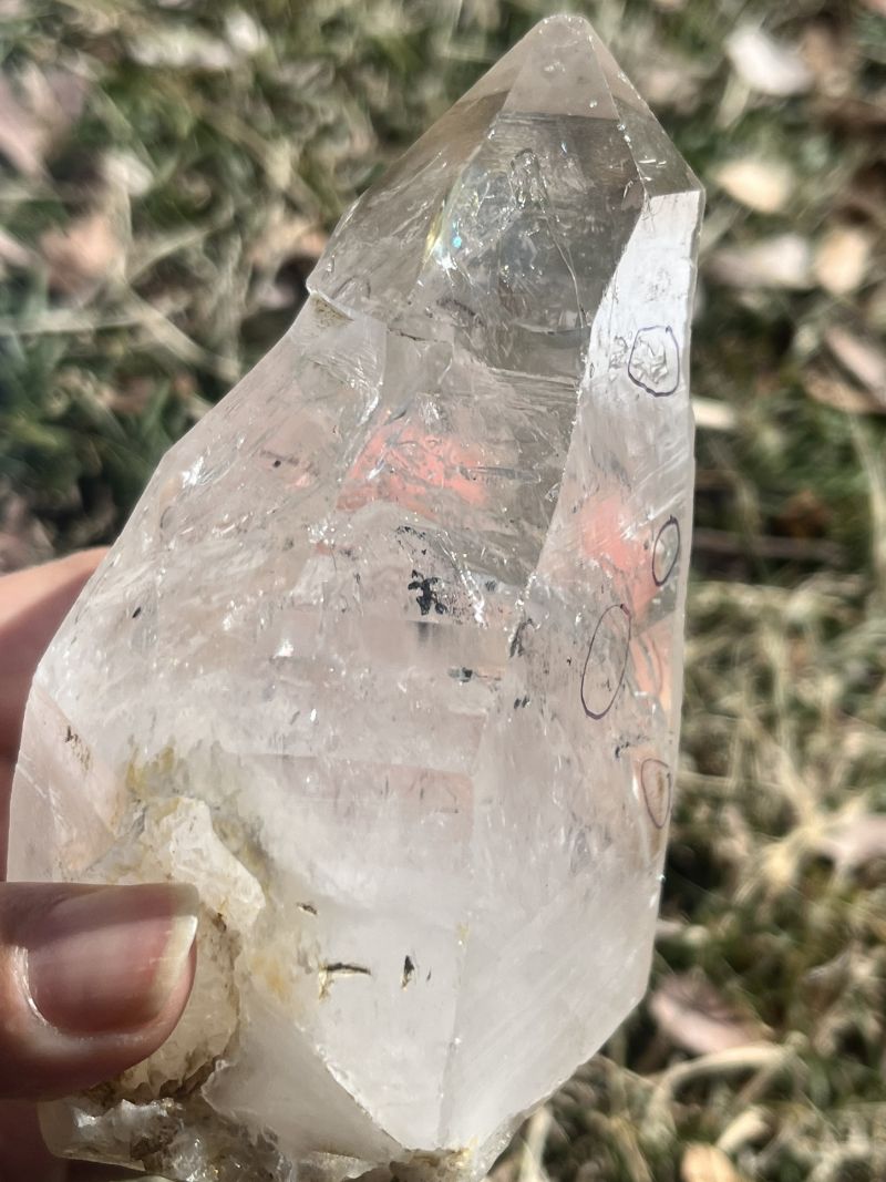 エンハイドロ セットD