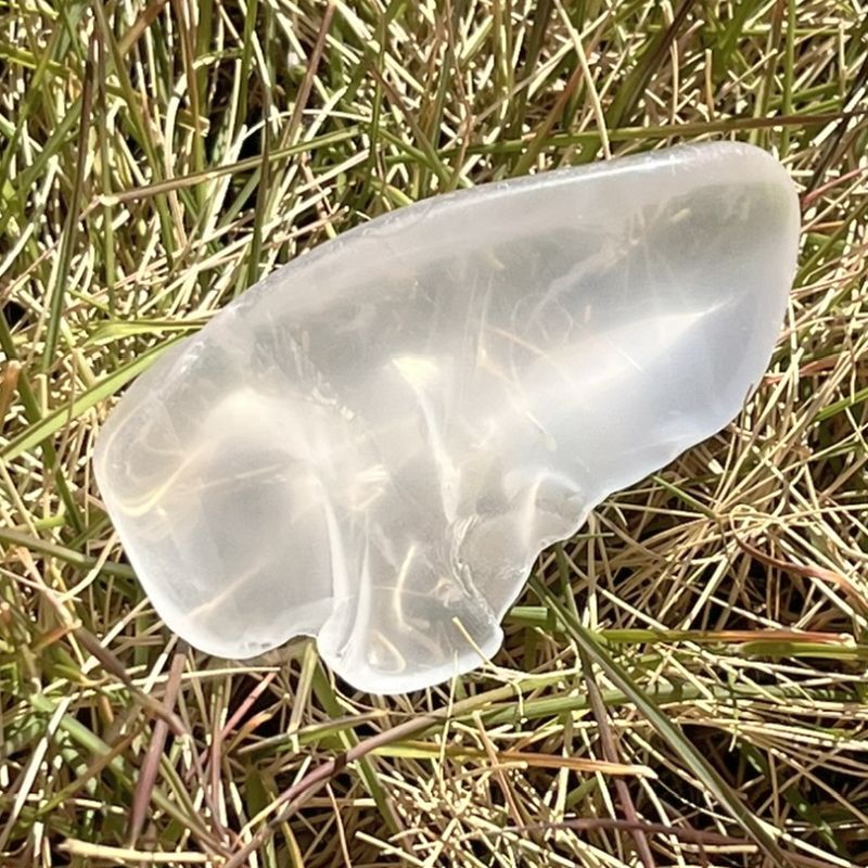 メタモルフォシス・タンブル7