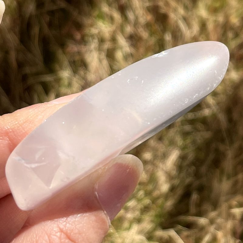 メタモルフォシス・タンブル7