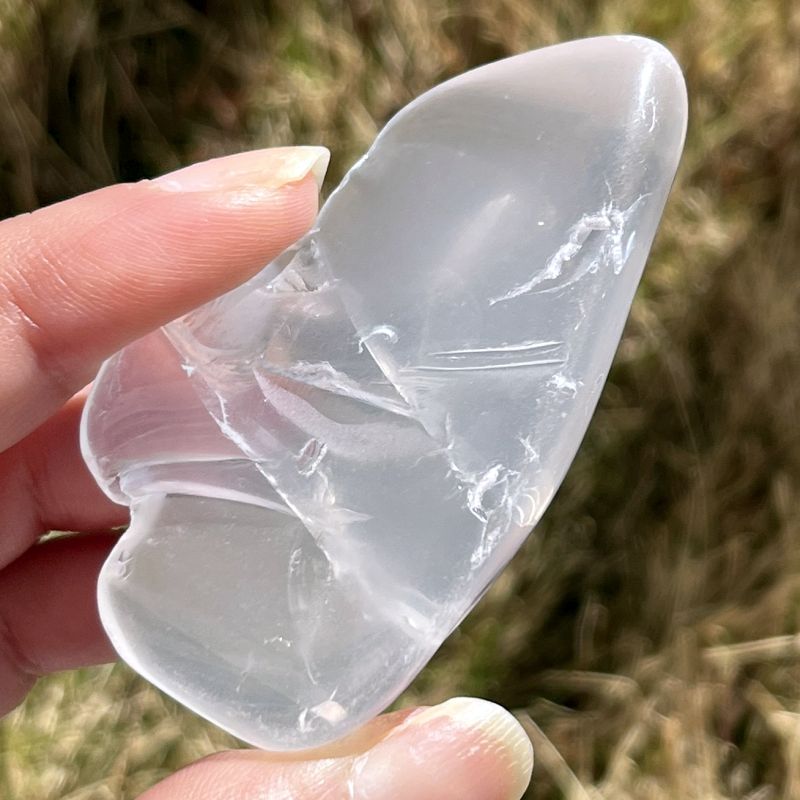 メタモルフォシス・タンブル7