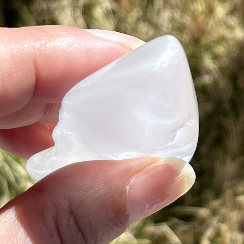 メタモルフォシス・タンブル7