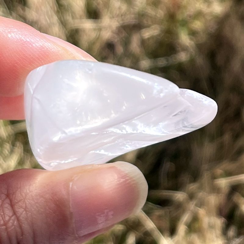 メタモルフォシス・タンブル7