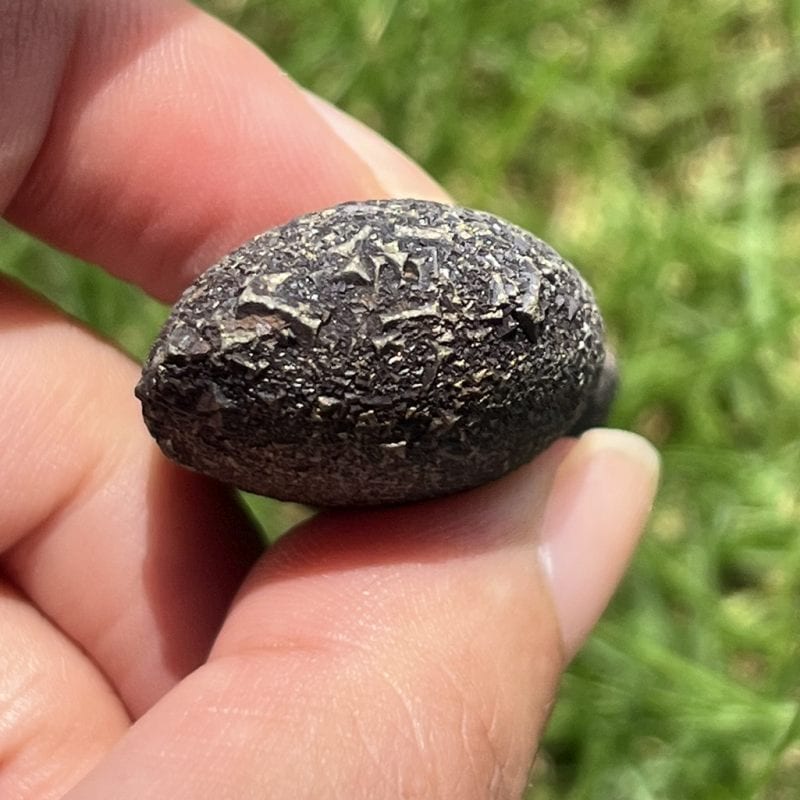 ボージャイ（ボージー）ストーン(フィギア8）3