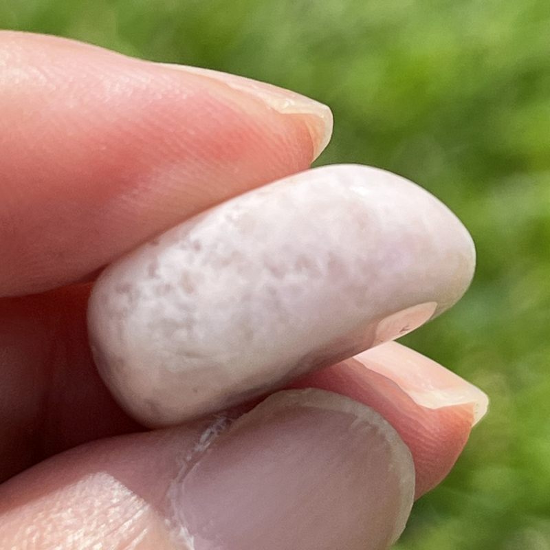 プレーリー・タンザナイト・タンブル