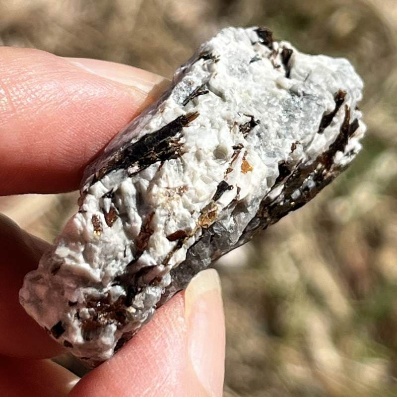 アストロフィライト・原石2