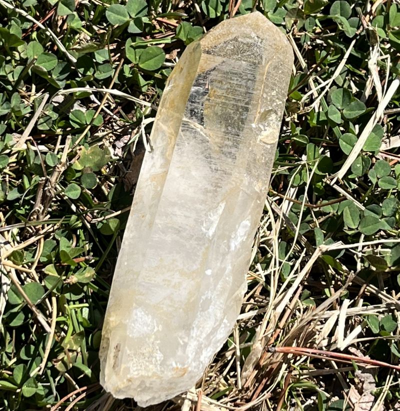 ゴールデンヒーラー・原石7（大）(レコードキーパー、アバンダンス)