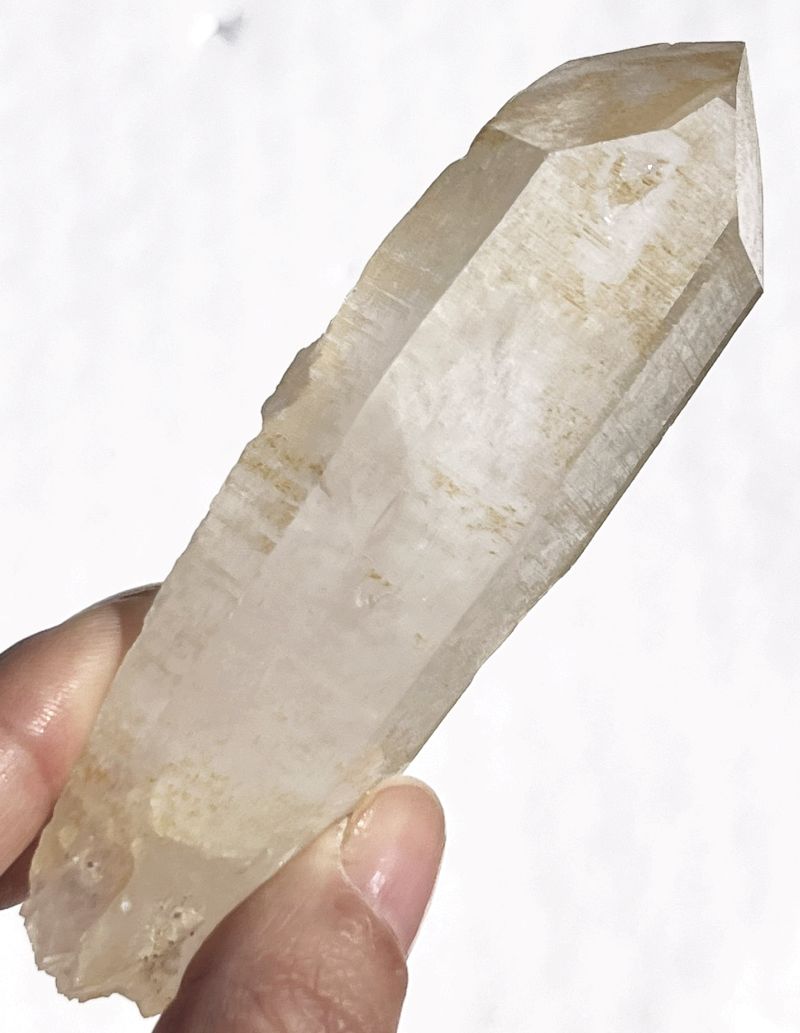 ゴールデンヒーラー・原石7（大）(レコードキーパー、アバンダンス)