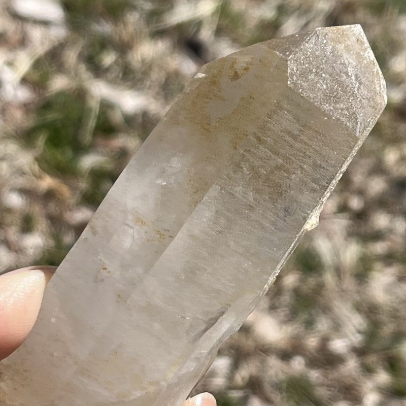 ゴールデンヒーラー・原石7（大）(レコードキーパー、アバンダンス)