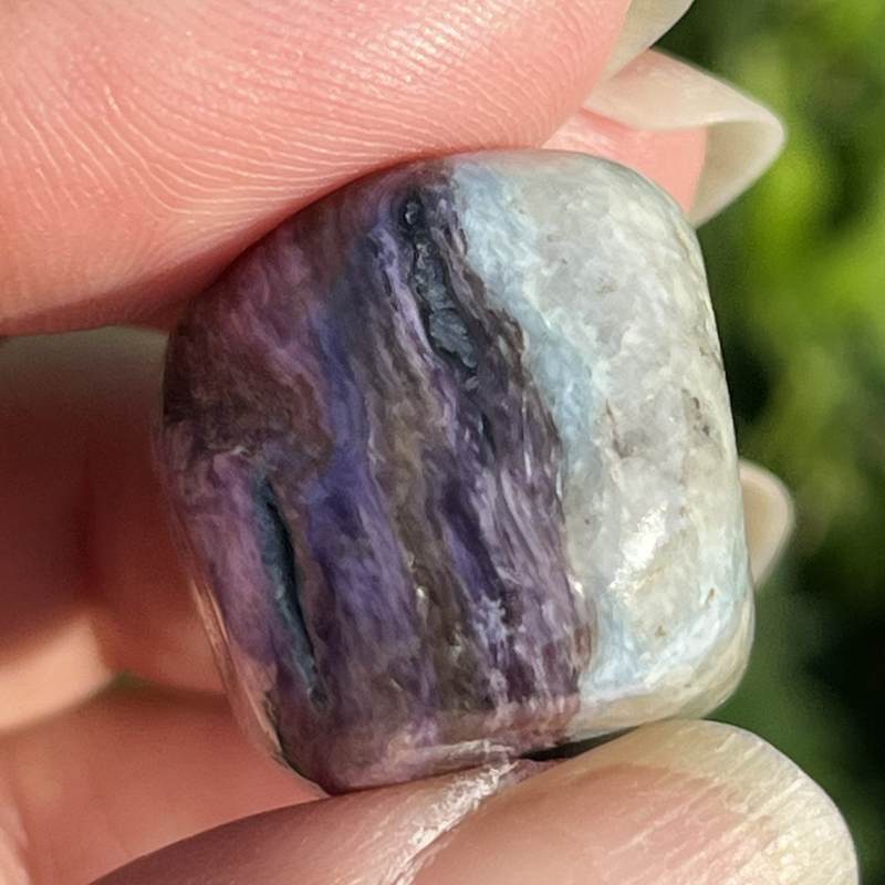 フローロカートナイト・タンブル1（超レア）