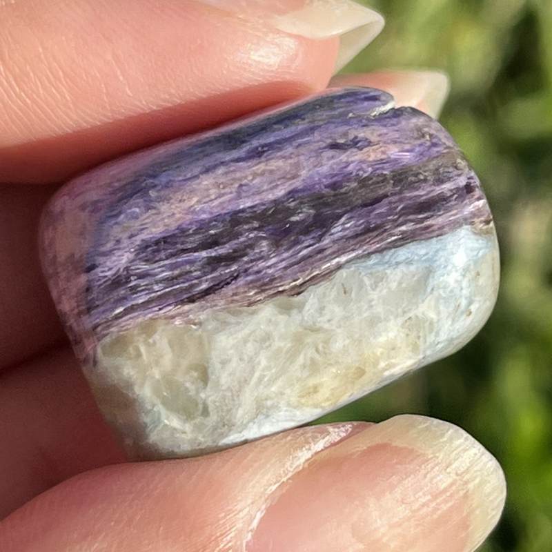 フローロカートナイト・タンブル1（超レア）