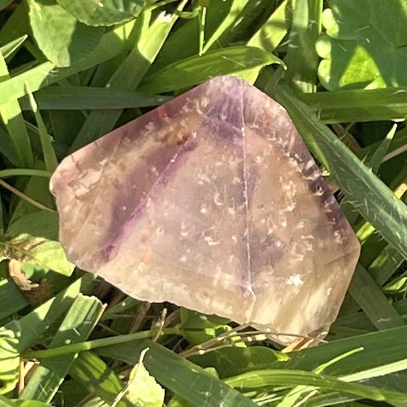 ドリームコート・レムリアン・ポイント4