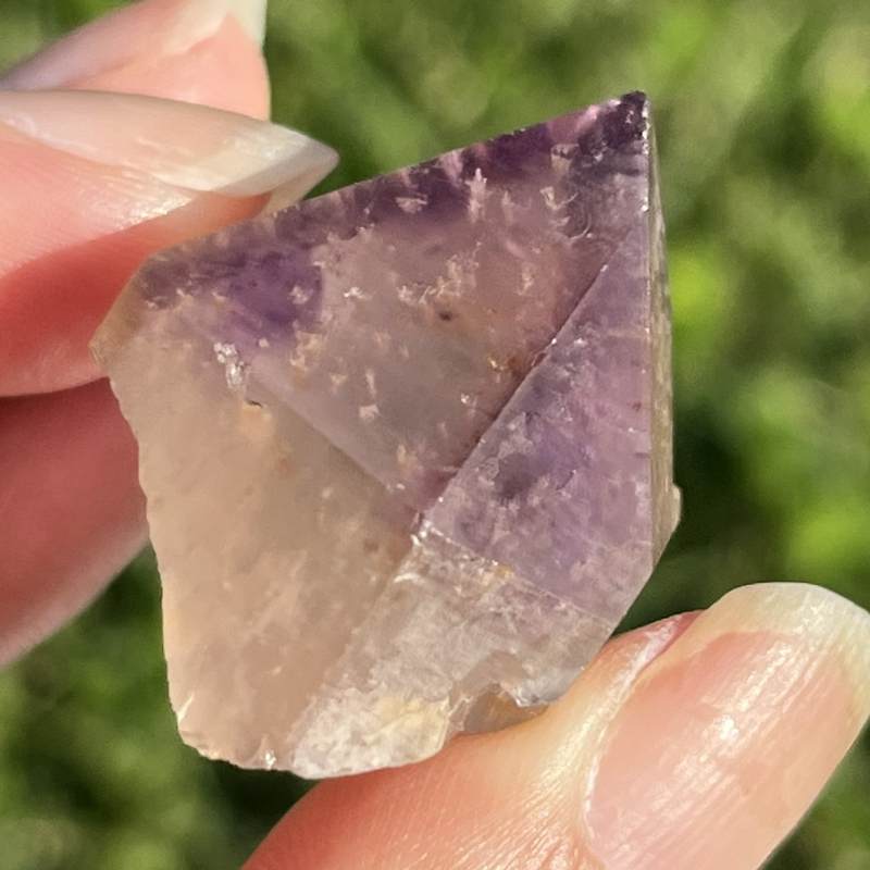 ドリームコート・レムリアン・ポイント4