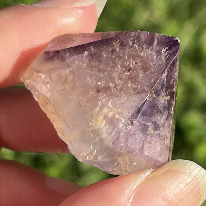 ドリームコート・レムリアン・ポイント4