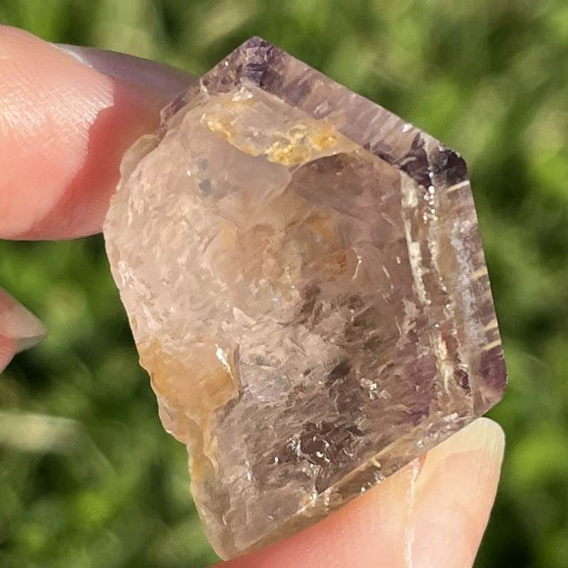 ドリームコート・レムリアン・ポイント4