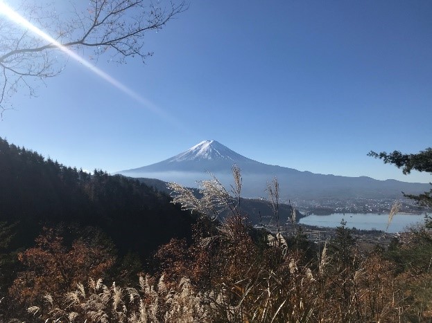 Blessings of Gaia Essence～富士山<火・fire・う>