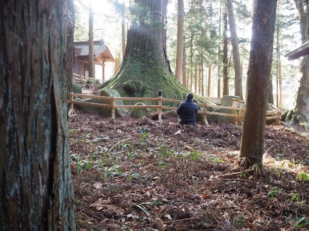 Blessings of Gaia Essence～富士山<火・fire・う>